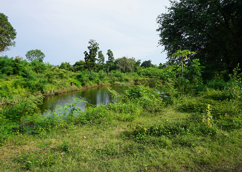 ที่ดิน ซอยโรงไฟฟ้าแก่งคอย 2 แก่งคอย สระบุรี