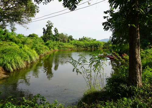 ที่ดิน ซอยโรงไฟฟ้าแก่งคอย 2 แก่งคอย สระบุรี