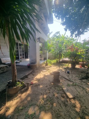 WW497 ขาย หมู่บ้านชวนชื่น พัฒนาการ , บ้านเดี่ยวซอยพัฒนาการ57 ใกล้สำนักงานเขตสวนหลวง