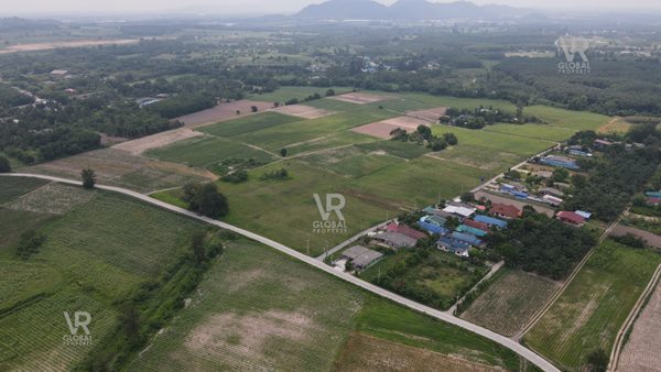 ขายที่ดินเปล่า พนัสนิคม ชลบุรี พื้นที่รวม 79-3-20 ไร่ แปลงใหญ่ มีความอุดมสมบูรณ์ ระบบน้ำ-ไฟฟ้าเข้าถึง