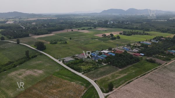 ขายที่ดินเปล่า พนัสนิคม ชลบุรี พื้นที่รวม 79-3-20 ไร่ แปลงใหญ่ มีความอุดมสมบูรณ์ ระบบน้ำ-ไฟฟ้าเข้าถึง