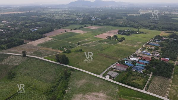 ขายที่ดินเปล่า พนัสนิคม ชลบุรี พื้นที่รวม 79-3-20 ไร่ แปลงใหญ่ มีความอุดมสมบูรณ์ ระบบน้ำ-ไฟฟ้าเข้าถึง