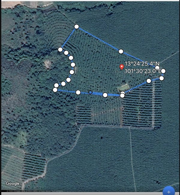ขายที่ดินพร้อมสวนยาง 25ไร่ มีสระน้ำ จังหวัดชลบุรี (หลังโรงเรียนบ้านหนองยายหมาด) โทร 081-658-1142