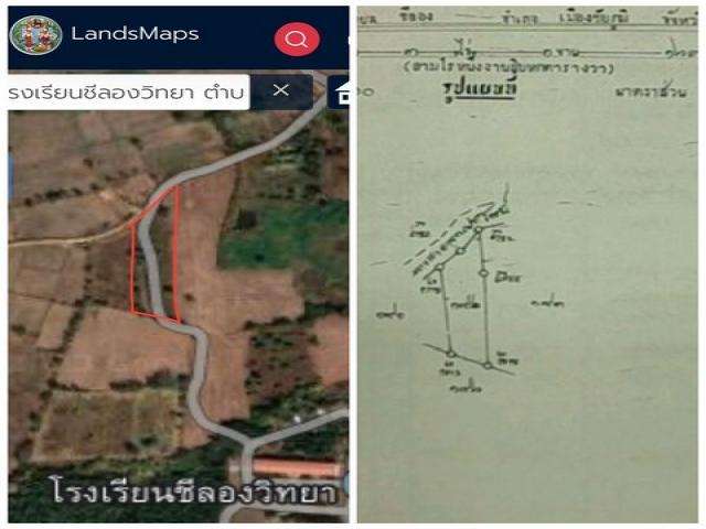 ขายด่วนๆ ที่ดินสวยดินดีปลูกพืชงาม บนเนินสูงใกล้ที่ทำการเทศบาล ต.ชีลอง อ.เมือง จ.ชัยภูมิ