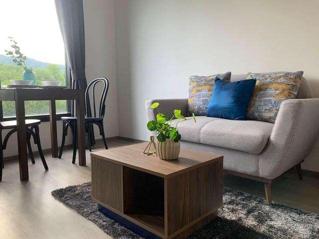 For Rent : Wichit, The Base Central Phuket, 1 Bedroom 1 Bathroom, 5th flr