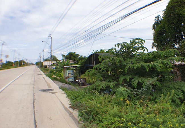 ขายที่ดิน ไทรน้อย ติดถนนบ้านกล้วย-ไทรน้อย เนื้อที่ 9 ไร่ ทำเลดี ติดถนน