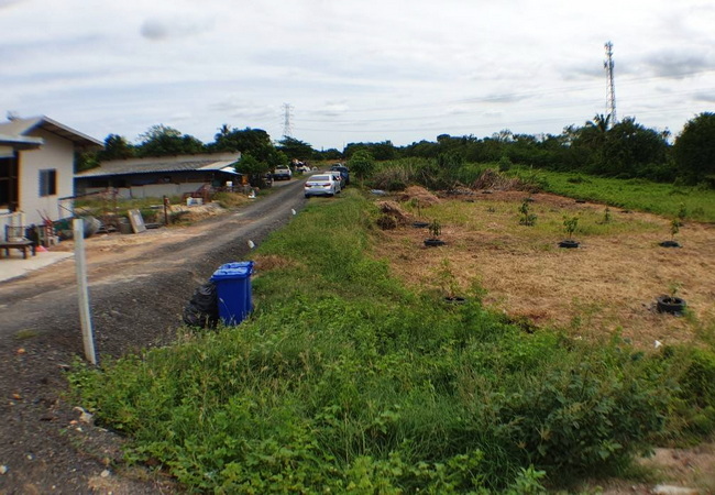 ขายที่ดิน ไทรน้อย ติดถนนบ้านกล้วย-ไทรน้อย เนื้อที่ 9 ไร่ ทำเลดี ติดถนน