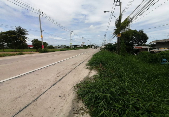 ขายที่ดิน ไทรน้อย ติดถนนบ้านกล้วย-ไทรน้อย เนื้อที่ 9 ไร่ ทำเลดี ติดถนน