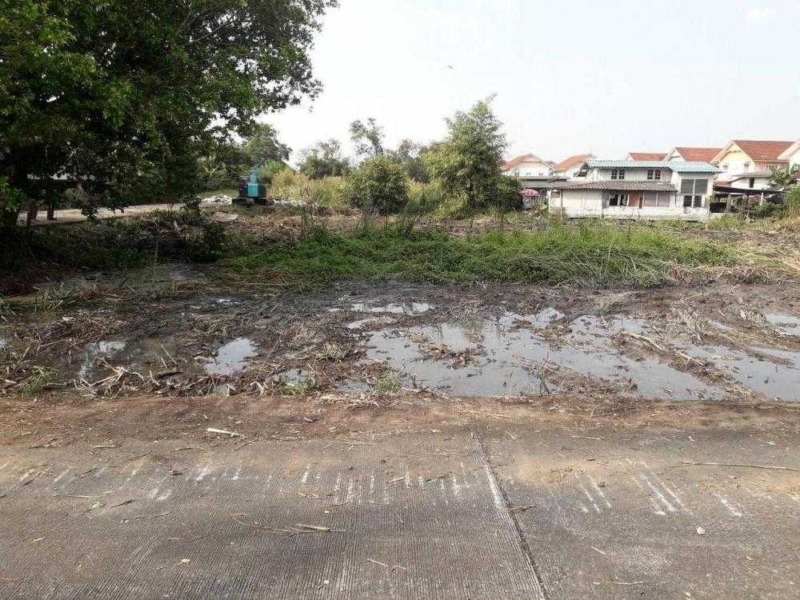 ที่ดินแบ่งขาย ในซอยวัดพระเงิน นนทบุรี ทำเลดี ราคาถูก