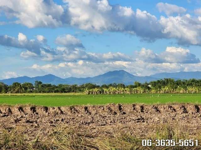 ขายที่ดินสวยวิวเขา ต.ท่าทราย อ.เมืองนครนายก ติดถนน 2 ด้าน เหมาะทำบ้านสวนวัยเกษียน พักผ่อนใกล้ กทม.