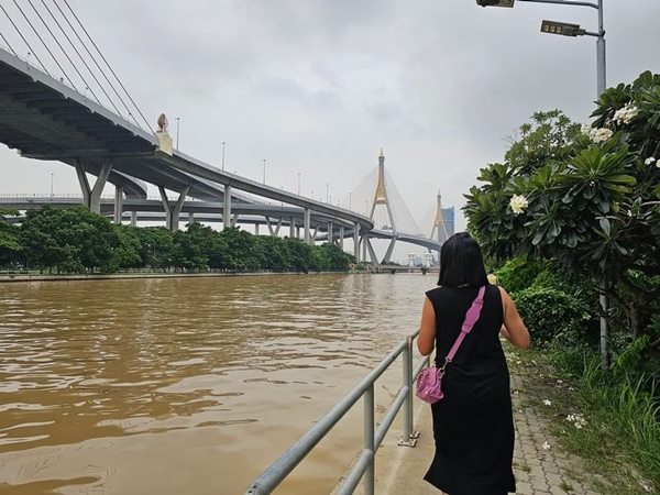 ขายที่ดิน 1ไร่ บางกระเจ้า ติดแม่น้ำเจ้าพระยา ซ.เพชรหึงษ์26 บัวผึ้งพัฒนา ใกล้ตลาดบางน้ำผึ้ง พระประแดง สมุทรปราการ ติดต่อ/line 0619419639