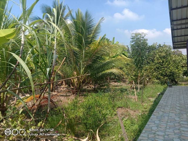 ขายบ้านสวนพร้อมที่ดิน 1 ไร่ ซอยบึงบอน30 คลอง 8 หนองเสือ ปทุมธานี
