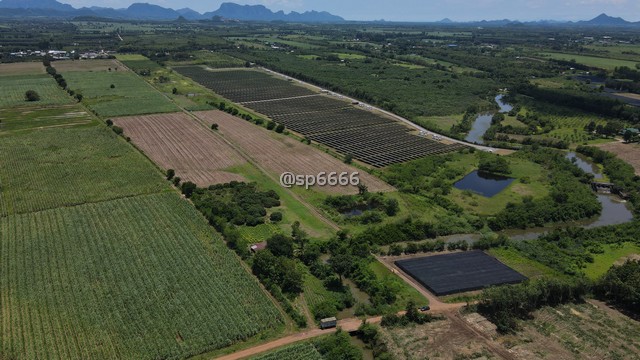 ขายที่ดิน 161-1-26 ไร่ ถนนจันทบุรี-สระแก้ว ถนนทางหลวง 317 ติดถนน 2ด้าน ต.วังใหม่ อ.วังสมบูรณ์ จ.สระแก้ว