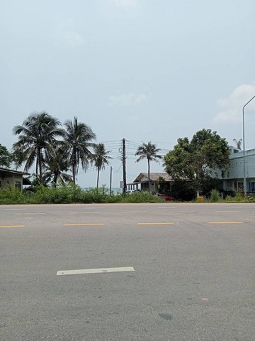 โปรปังส่งท้ายปี66เท่านั้น ลด10% ที่ดินริมหาดสะพลีทรายขาวน้ำใสคราม สวยงามวิวทะเลธรรมชาติสุดสุด ปะทิวใกล้หาดสวยทุ่งวัวแล่น