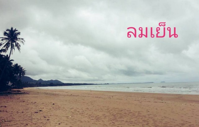 ที่ดินรอเจ้าของพร้อมขาย ทรัพย์ดีมั่งคั่ง ที่ดินริมหาดสะพลีทรายขาวน้ำใสคราม สวยงามวิวทะเลธรรมชาติสุดสุด ปะทิวใกล้หาดสวยทุ่งวัวแล่น