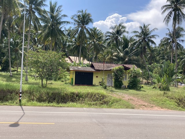 ที่ดินรอเจ้าของพร้อมขาย ใกล้ทะเล ต.สะพลี อ.ปะทิว จ.ชุมพร ราคาคุยได้ สนใจโทรตรง 096-882-1857