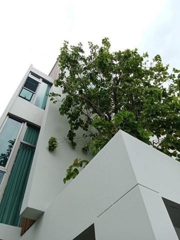 C4119 ให้เช่าและขายบ้านเดี่ยว 3 ชั้น โครงการวีเว่ พระราม 9 VIVE Rama 9 ถนนกรุงเทพกรีฑา ใกล้Brighton College
