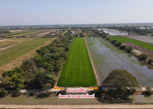 ที่ดิน ติดถนน ธัญบุรี-วังน้อย คลองหลวง ปทุมธานี