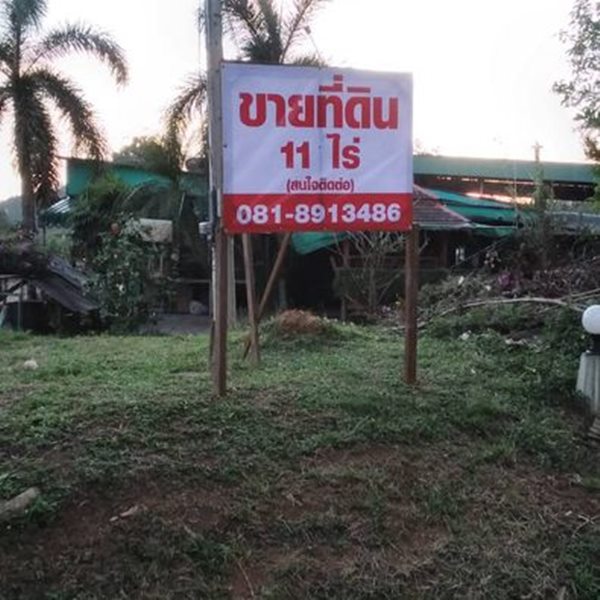 ขายที่ดิน 11 ไร่ ต.บ้านโพธิ์ อ.เมืองตรัง เจ้าของขายเอง ที่ดินมีต้นปาล์มน้ำมันอยู่ด้วย มีโฉนดที่ดินพร้อมโอน โทร 081-8913486