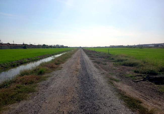 ขายที่ดิน คลองหลวงแพ่ง ถนนสุวินทวงศ์ ตำบลคลองหลวงแพ่ง อำเภอเมือง ฉะเชิงเทรา