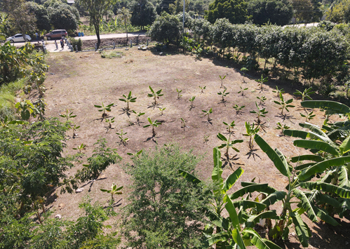 ที่ดิน บ้านปทุม สามโคก ปทุมธานี