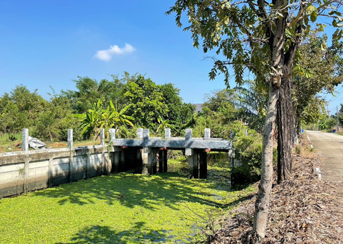 ที่ดิน บ้านปทุม สามโคก ปทุมธานี