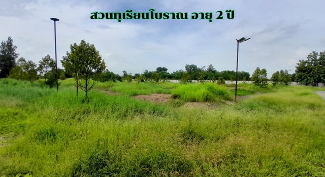 โรงงานหนองเสือ ปทุมธานี คลอง9 พร้อมใบ รง.4 พื้นที่สีชมพู สามารถเปลี่ยนประเภทธุรกิจได้