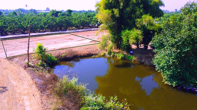 ขายที่ดินจัดสรร เริ่ม 100ตรว. 350,000บ. ฟรีโอน วิวดอย สาธารณูปโภค ต.มะขามหลวง อ.สันป่าตอง เชียงใหม่