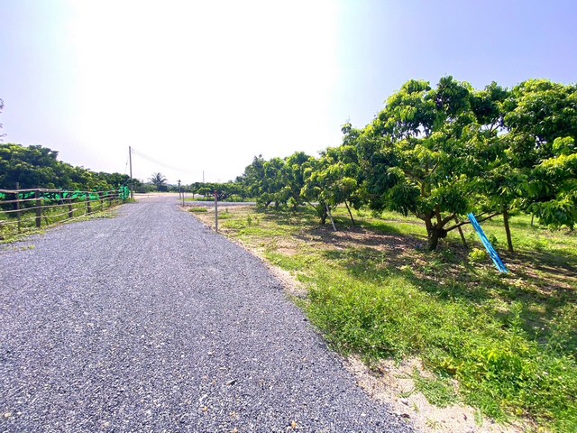 ขายที่ดินจัดสรร 120ตรว.309,000บ ฟรีโอน ถม สาธารณูแโภค ต.ยางคราม อ.ดอยหล่อ เชียงใหม่