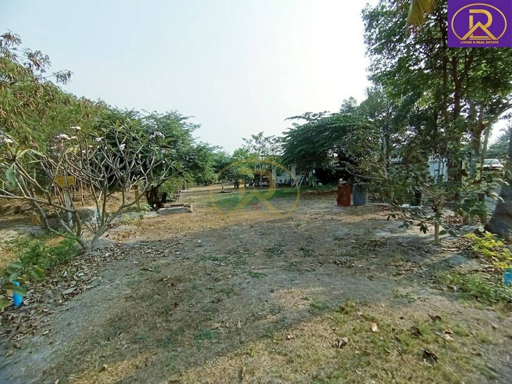 ขายที่ดิน แถมบ้านสวน 1-2-33 ไร่ พร้อมผลไม้ หลากหลายชนิด ต.บ้านสวน อ.เมืองชลบุรี จ.ชลบุรี