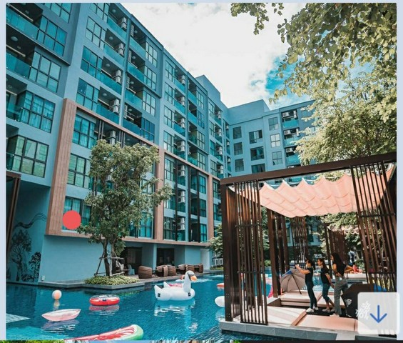 Condominium ดิ เอ็กเซล ไฮด์อะเวย์ สุขุมวิท 50 30 ตร.ม. 1 BEDROOM 1 Bathroom 2650000 B. ราคานี้หาไม่ได้แล้ว ห้องมุม, สระว