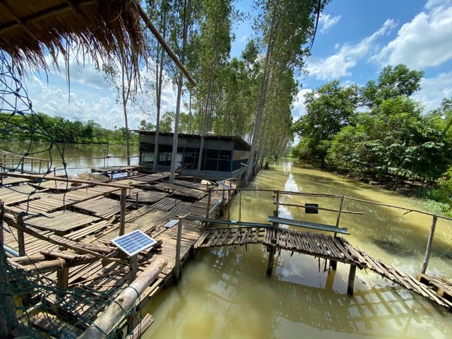 ขายที่ดินทางการเกษตร (สวนป่า) อ.ศรีมหาโพธิ จ.ปราจีนบุรี 130-2-93.8 ไร่ (8 แสนบาท/ไร่)