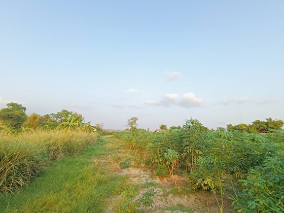 ขายถูกที่ดินอำเภอเมืองชลบุรี ขายถูกกว่าใกล้เคียง ที่ดินตำบลนาป่า-เมืองชลบุรี