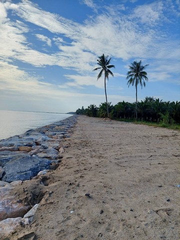 พื้นที่ดิน ที่ดินติดหาดทรายแก้ว ท่าศาลา จ.นครศรีธรรมราช 2 ตรว. 1 Ngan 12 ไร่ 61283750 THAI BAHT ไม่ไกลจาก ติดหาดหาดทรายแ