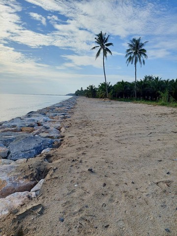 พื้นที่ดิน ที่ดินติดหาดทรายแก้ว ท่าศาลา จ.นครศรีธรรมราช 2 ตรว. 1 Ngan 12 ไร่ 61283750 THAI BAHT ไม่ไกลจาก ติดหาดหาดทรายแ