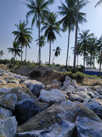 พื้นที่ดิน ที่ดินติดหาดทรายแก้ว ท่าศาลา จ.นครศรีธรรมราช ราคานี้คุ้มมาก นครศรีธรรมราช