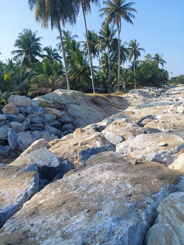 พื้นที่ดิน ที่ดินติดหาดทรายแก้ว ท่าศาลา จ.นครศรีธรรมราช ราคานี้คุ้มมาก นครศรีธรรมราช