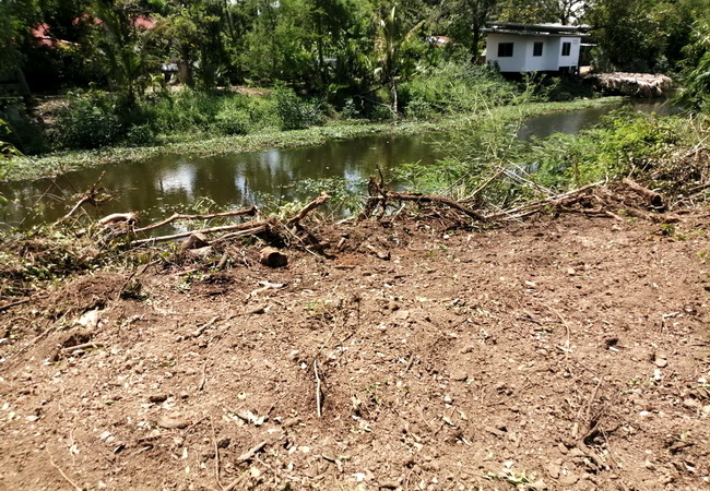 ขายที่ดิน อยุธยา ถนนสายเอเชีย ตําบลบ่อโพง อําเภอนครหลวง พระนครศรีอยุธยา