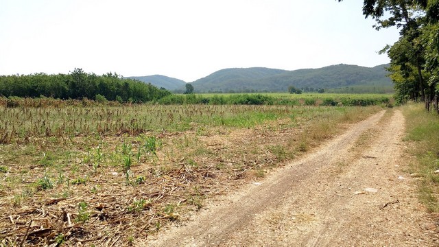 ที่ดิน ที่ดินบ้านโป่งตะขบ อ.วังม่วง จ.สระบุรี 6500000 BAHT ใกล้ ห่างจากเขื่อนป่าสักชลสิทธิ์ ประมาณ 15 กม. ทำเลเด่น สระบุ