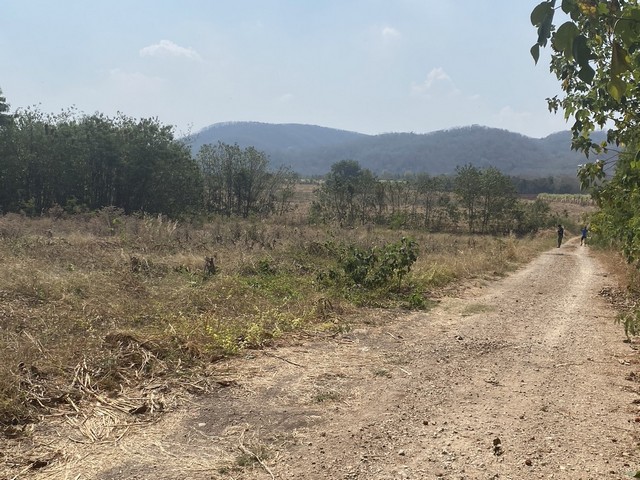 พื้นที่ดิน ที่ดินบ้านโป่งตะขบ อ.วังม่วง จ.สระบุรี area 11 ตรว. 1 ngan 17 ไร่ 6500000 THAI BAHT ใกล้กับ ห่างจากเขื่อนป่าส