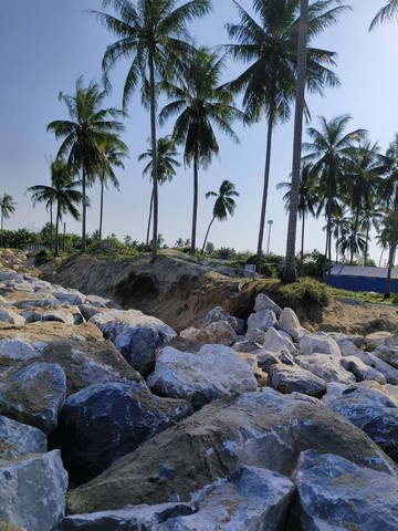 พื้นที่ดิน ที่ดินติดหาดทรายแก้ว ท่าศาลา จ.นครศรีธรรมราช 61283750 thb พท. 12 Rai 1 ngan 2 SQ.WA ใกล้ ติดหาดหาดทรายแก้ว (ท