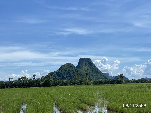 ที่ดิน ที่ดินทุ่งนา (วิวเขา) ต.ชัยบุรี อ.เมืองพัทลุง จ.พัทลุง 7-2-10 ไร่ ราคา 7.5 ล้านบาท 3010 ตร.ว. 7500000 BAHT. ใกล้