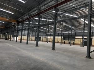 โรงงานสร้างใหม่ให้เช่าพื้นที่12,000ตารางเมตรอยู่ ราคาเช่า95บาท/ตารางเมตร อ.บ้างบึง จ.ชลบุรี