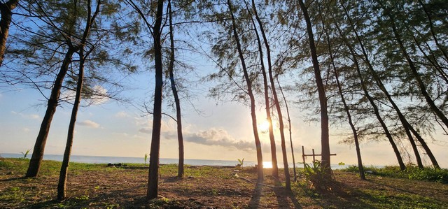 ขายที่ลดพิเศษดินชุมพร สวยถูกทำเลดี ติดทะเลเริ่มต้น 700,000 บ.