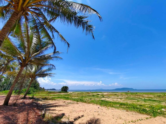 ขายที่ดินติดทะเลหาดคอสนชุมพรสะดวกติดถนนติดตัวเมือง ไร่ละ 3.5 ล้าน