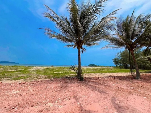 ขายที่ดินติดทะเลหาดคอสนชุมพรสะดวกติดถนนติดตัวเมือง ไร่ละ 3.5 ล้าน