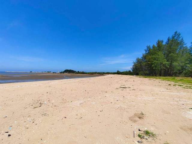 ขายที่ดินติดทะเลหาดคอสนชุมพรสะดวกติดถนนติดตัวเมือง ไร่ละ 3.5 ล้าน