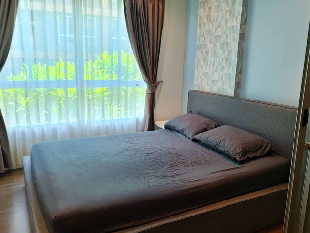 For Rent : Kathu, Dcondo Creek, 1 bedroom 1 bathroom, 3rd flr., pool view