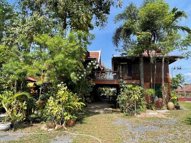 For Rent : Naiyang, 2-story Thai house, 2 Bedrooms 2 Bathrooms