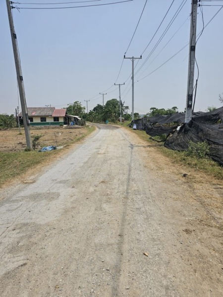 ขายด่วน แบ่งขายที่ดิน 100 ตร.ว. อำเภออู่ทอง จังหวัดสุพรรณบุรี ใกล้แหล่งชุมชน บ้านโคก ต.หนองโอ่ง โทร 0622656544